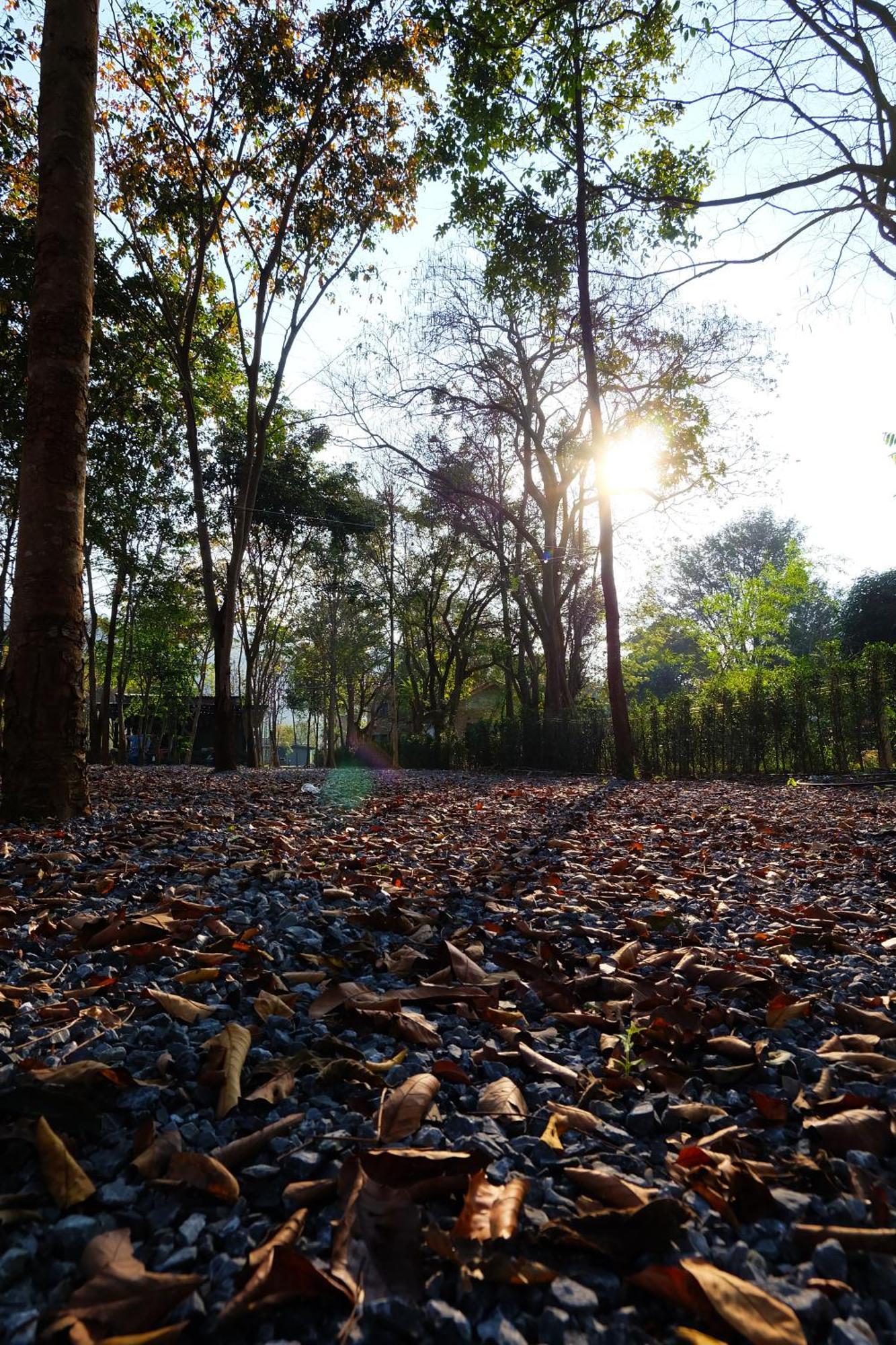 The Wild Khao Yai Hotel Klang Dong Exterior foto